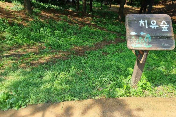 관악도시농업공원 여행 추천 - 메고지고