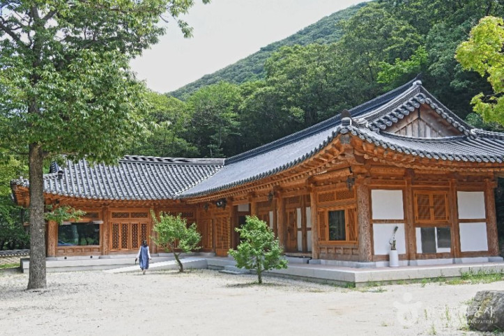 대흥사(해남) 여행 추천 - 메고지고