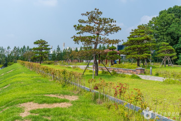 물총새공원 여행 추천 - 메고지고