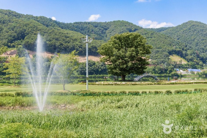 거례리사랑나무 여행 추천 - 메고지고
