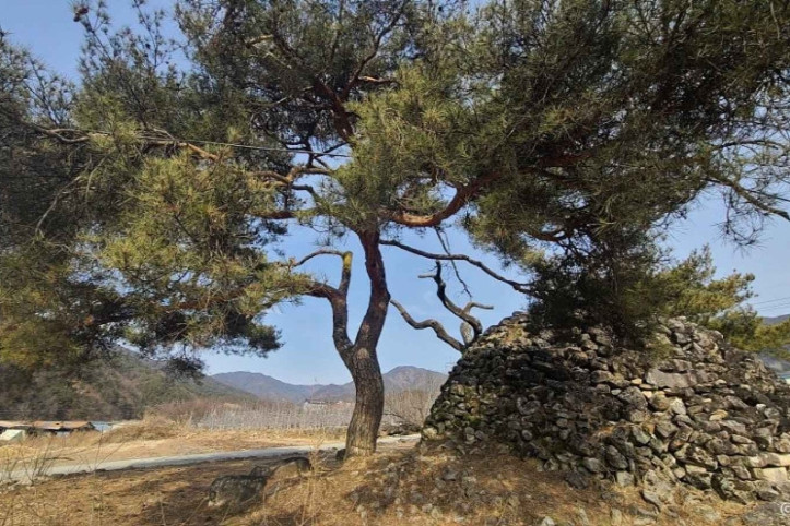 거창 거기리 성황단 여행 추천 - 메고지고