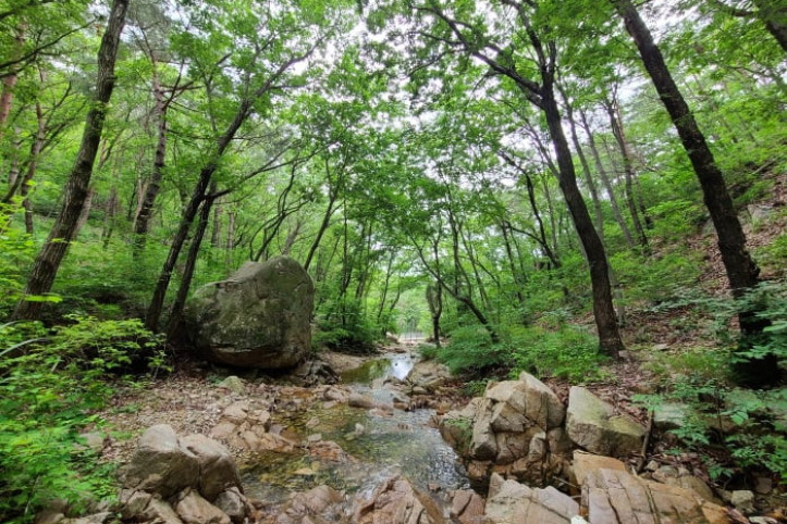 부산 치유의 숲 여행 추천 - 메고지고