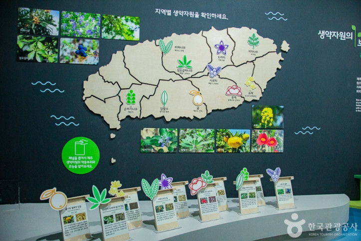 생약누리 여행 추천 - 메고지고