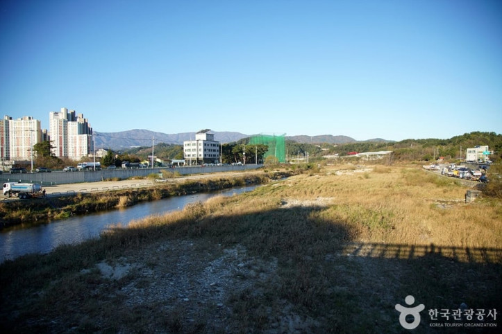 남대천(강릉) 여행 추천 - 메고지고