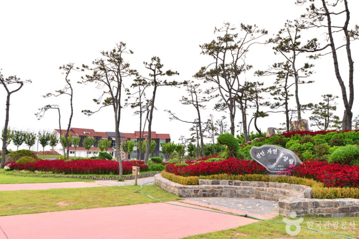 1004 뮤지엄파크 여행 추천 - 메고지고
