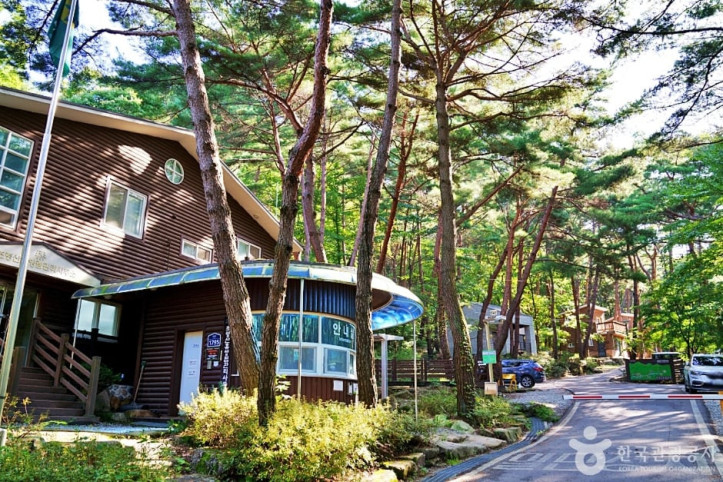 조령산자연휴양림 여행 추천 - 메고지고