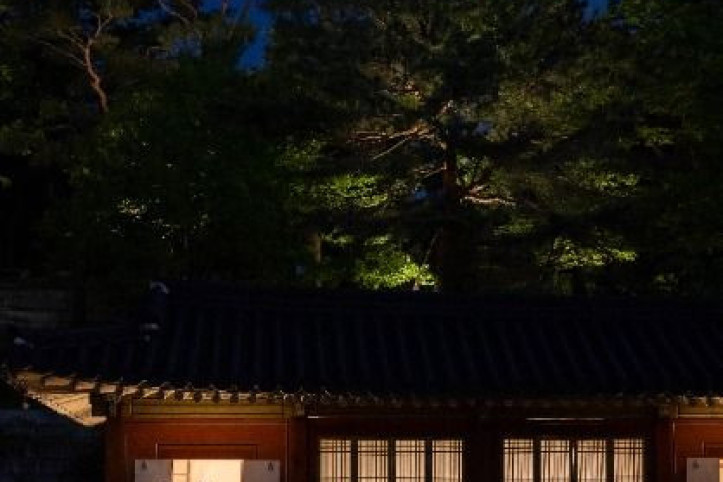 창경궁 여행 추천 - 메고지고