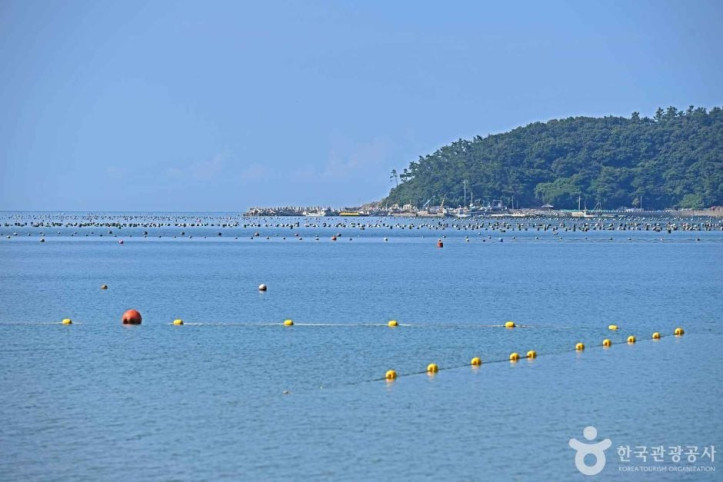 금갑해변 여행 추천 - 메고지고