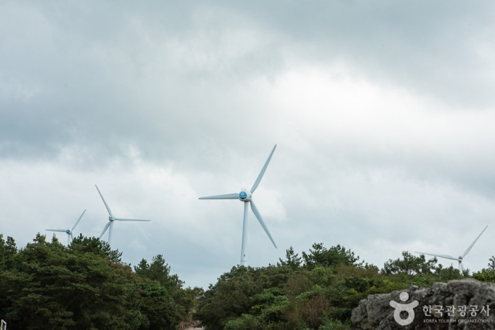 가시리국산화풍력발전단지 여행 추천 - 메고지고