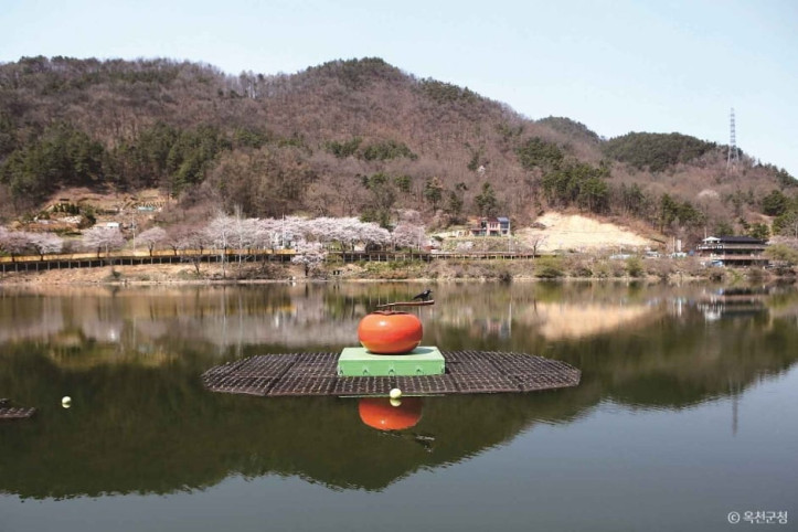 교동저수지(교동생태습지) 여행 추천 - 메고지고
