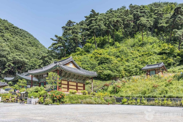 월리사(청주) 여행 추천 - 메고지고