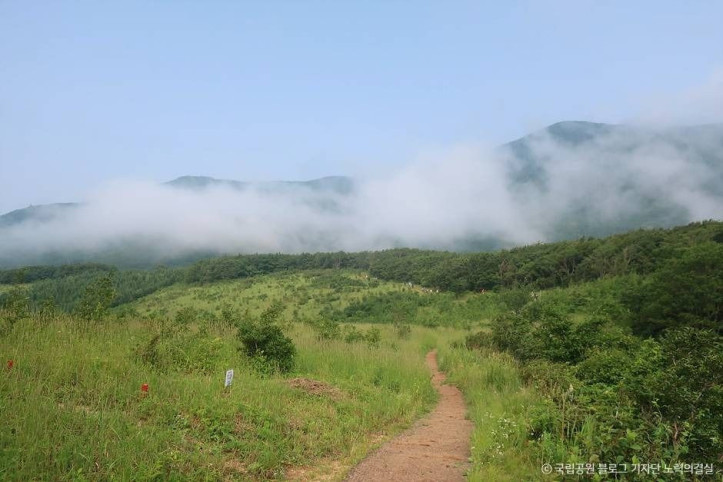 오대산국립공원 여행 추천 - 메고지고