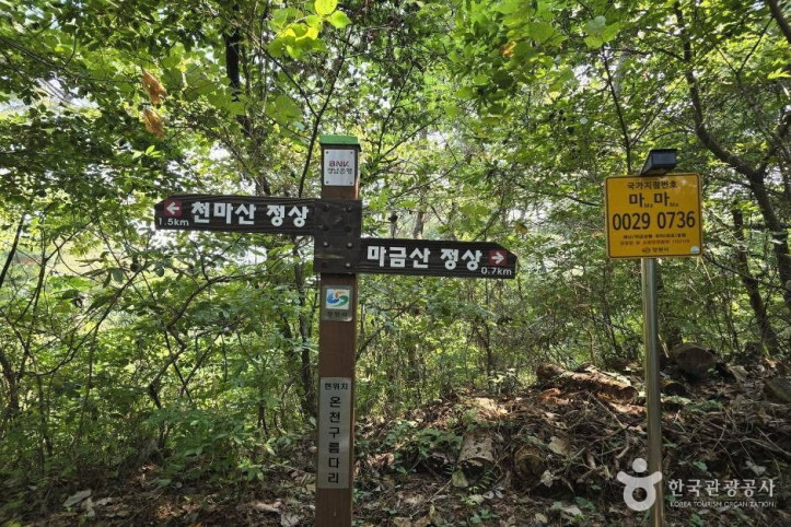 마금산 여행 추천 - 메고지고