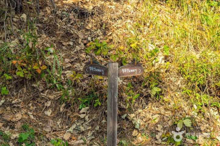 청옥산 도깨비길 여행 추천 - 메고지고