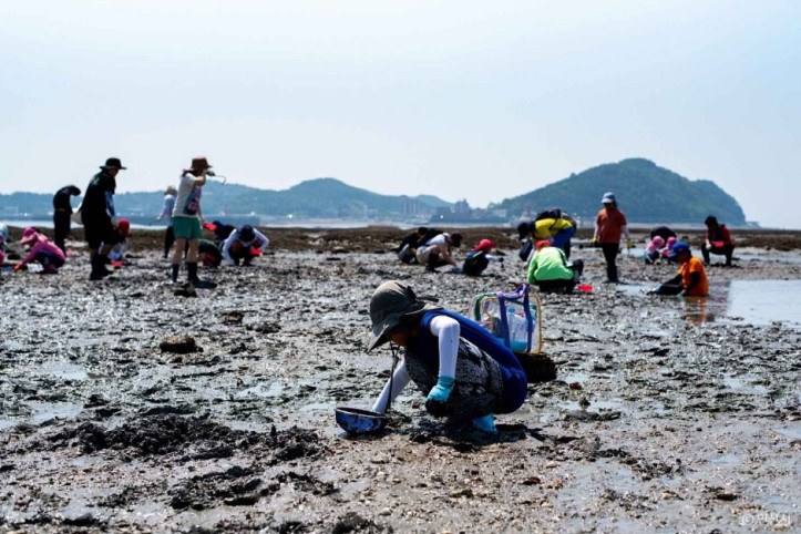 선감어촌체험마을 여행 추천 - 메고지고