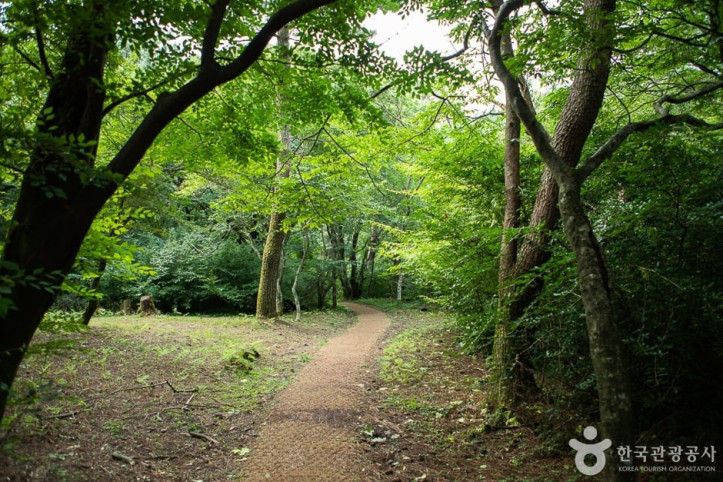 장생의숲길 여행 추천 - 메고지고