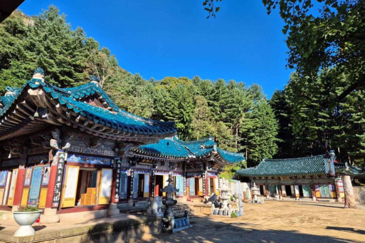 태고사 여행 추천 - 메고지고
