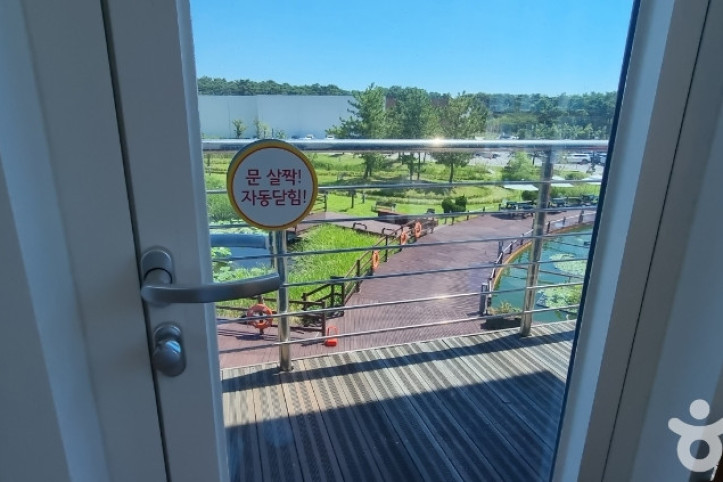 경포 아쿠아리움 여행 추천 - 메고지고