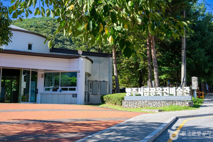 장흥관광지 여행 추천 - 메고지고