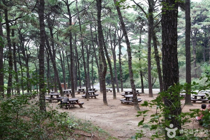 물향기수목원 여행 추천 - 메고지고