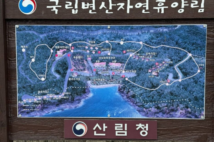 변산자연휴양림 여행 추천 - 메고지고