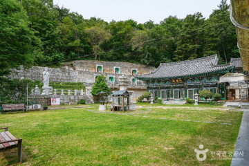 울산애견공원 여행 추천 - 메고지고