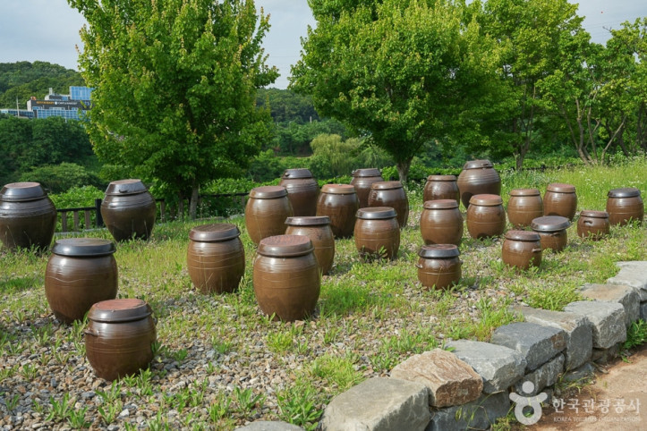 경인아라뱃길 매화동산 여행 추천 - 메고지고
