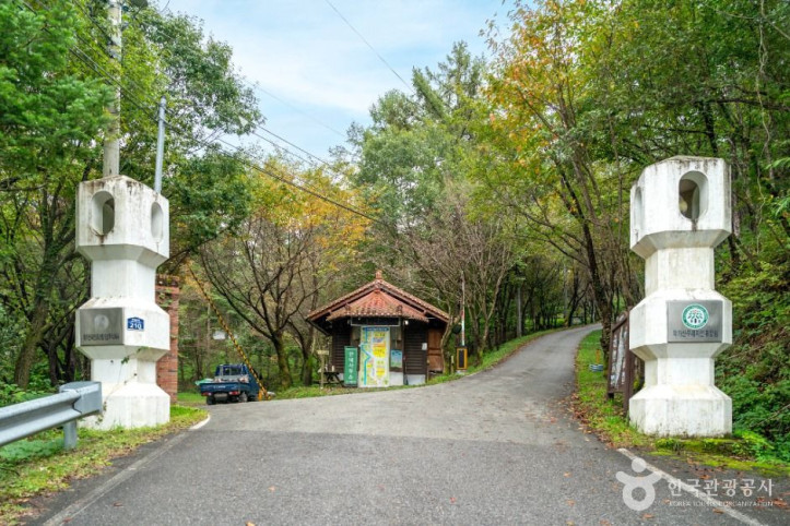 학가산자연휴양림 여행 추천 - 메고지고