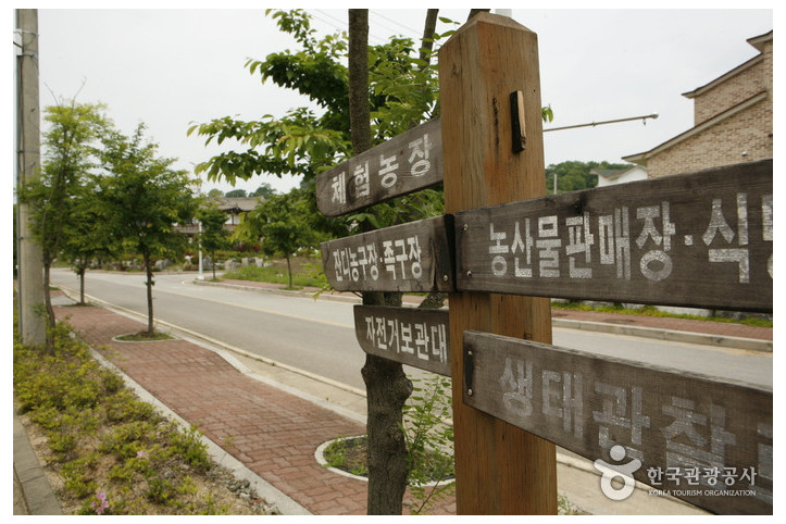 해마루촌 여행 추천 - 메고지고