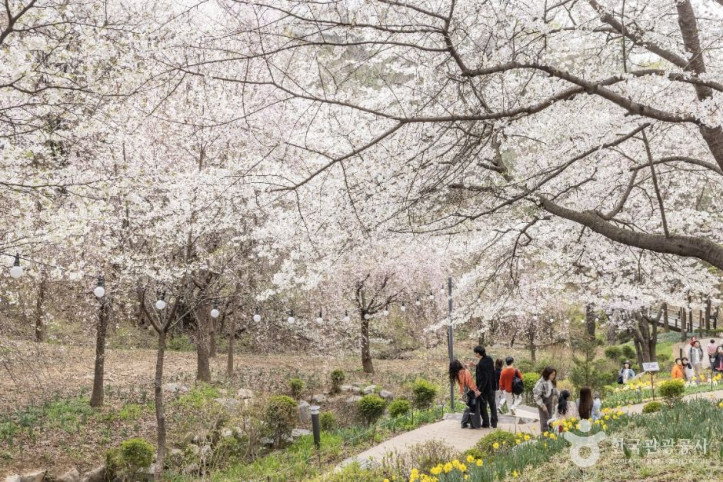 연희숲속쉼터 여행 추천 - 메고지고
