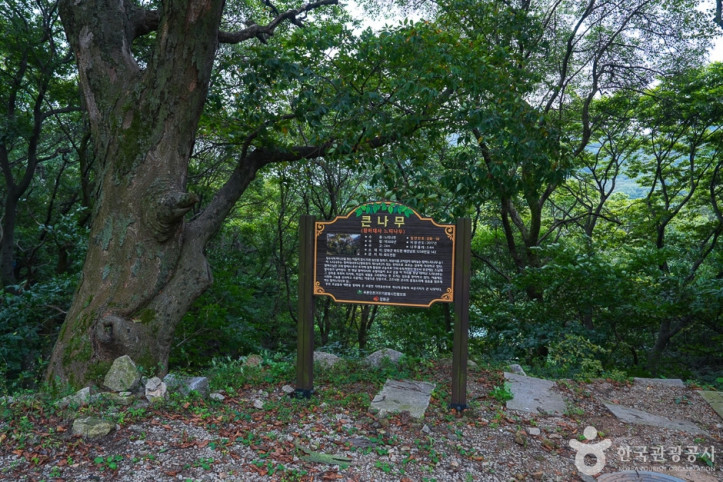정수사(강화) 여행 추천 - 메고지고