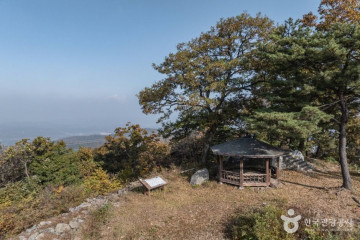 비암사(세종) 여행 추천 - 메고지고