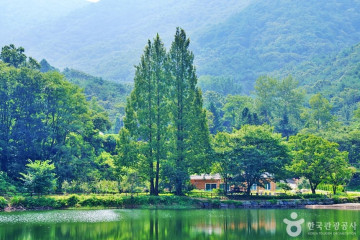 충현서원 여행 추천 - 메고지고