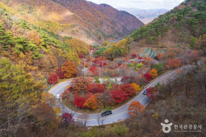 단양 보발재 여행 추천 - 메고지고