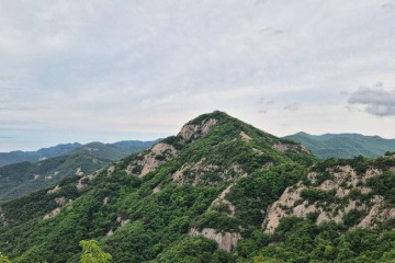 내소사 전나무 숲길 여행 추천 - 메고지고