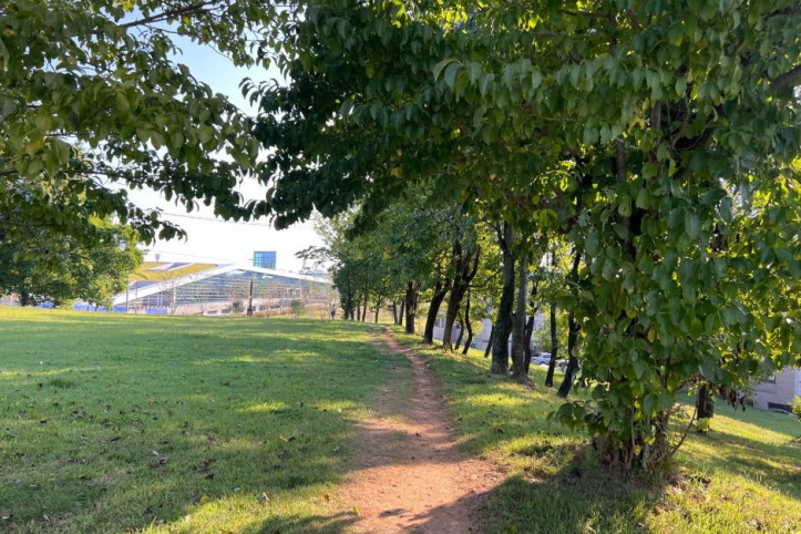 경산 임당동과 조영동 고분군 여행 추천 - 메고지고
