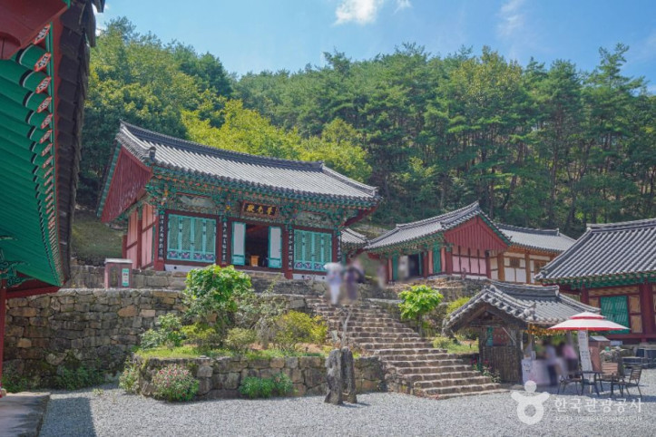 도림사(곡성) 여행 추천 - 메고지고