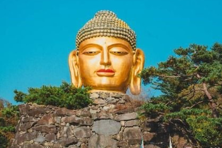 와우정사(용인) 여행 추천 - 메고지고