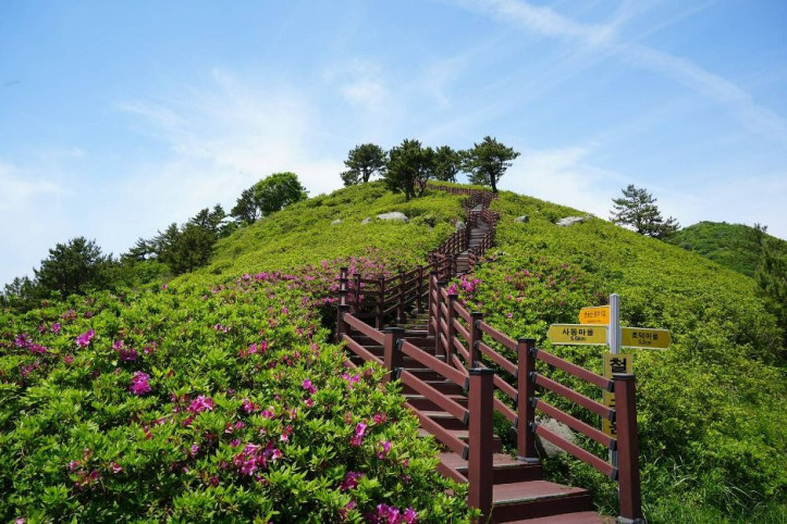 천등산(고흥) 여행 추천 - 메고지고