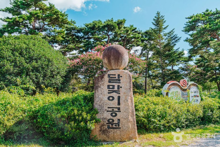 달맞이공원 여행 추천 - 메고지고