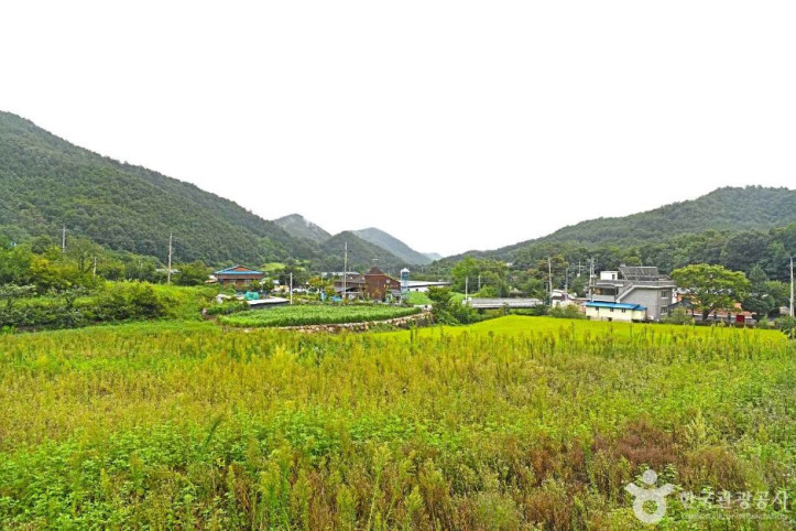 고천마을 여행 추천 - 메고지고