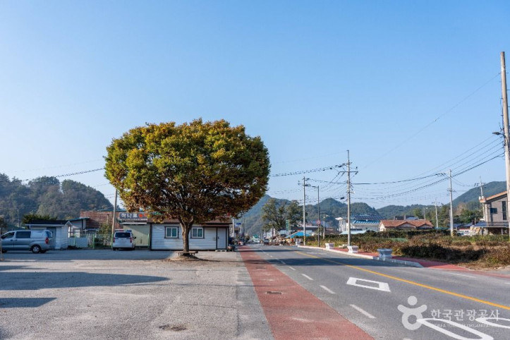 월악산 약초마을 여행 추천 - 메고지고