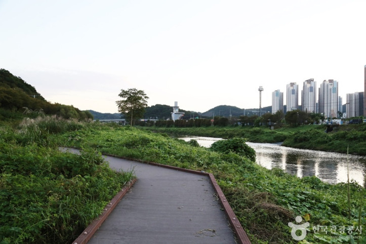 안양천 여행 추천 - 메고지고