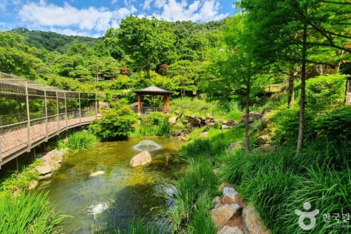 화담숲 여행 추천 - 메고지고