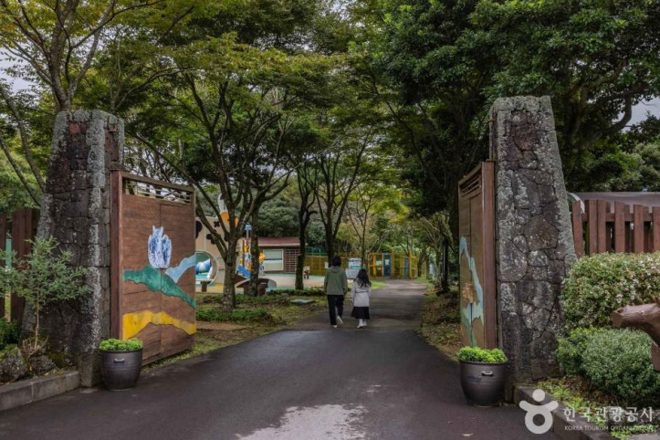 제주 노루생태관찰원 여행 추천 - 메고지고