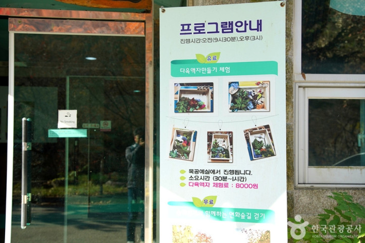 국립 용대자연휴양림 여행 추천 - 메고지고