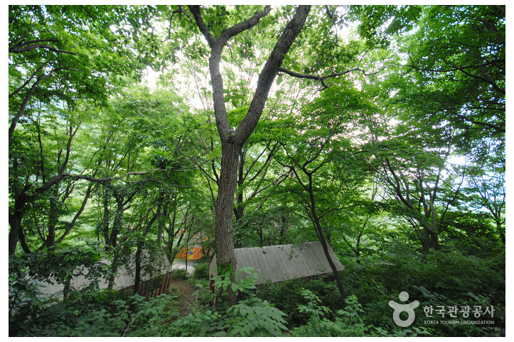 간월산 여행 추천 - 메고지고