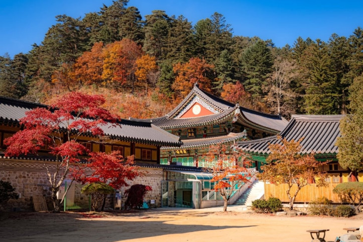 월정사·월정사 전나무숲 여행 추천 - 메고지고