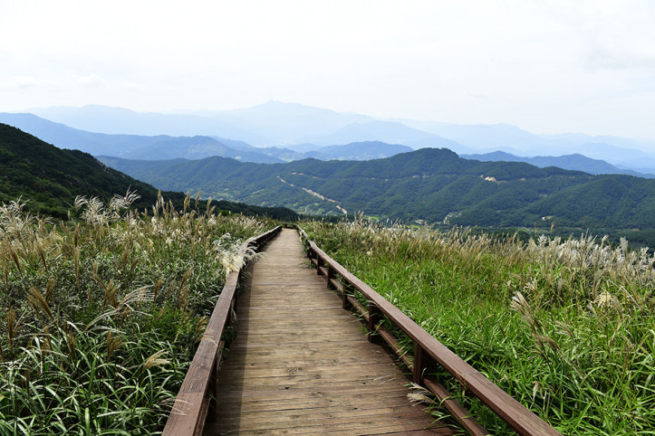 황매산미리내파크 여행 추천 - 메고지고
