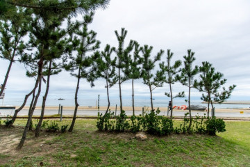정동진역 여행 추천 - 메고지고